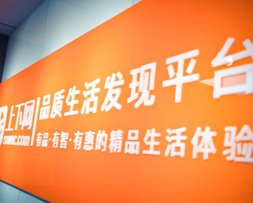 浙江上下網絡科技與聰蓉網絡科技 創新與協同的數字化實踐